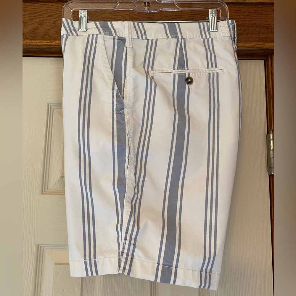 American Eagle Mens Stylish White and Blue Striped Men's Shorts Sz 34 Slim